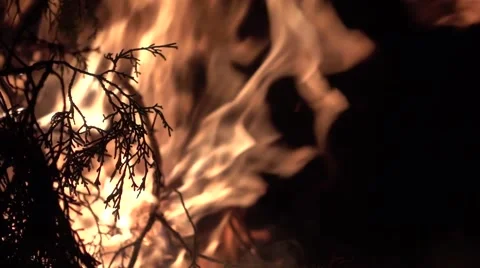 Slow Motion Throwing Wood On The Fire Close Up Stock Footage 63233064