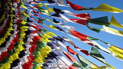 Slow motion Tibetan prayer flags against blue sky Video stock 244699766