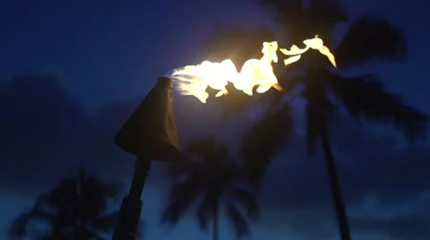 Slow Motion Tiki Torch, Fire, 240 fps at 24p, Beach Lantern 動画素材 12642956