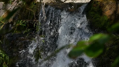 Slow motion tilt down of waterfall, Washington State. Stock Footage 98011956