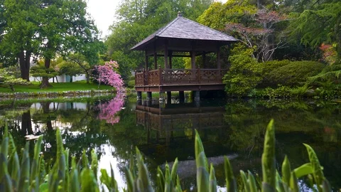 Slow motion tilt of small hut on still lake with lush green and pink plants surr Vídeo Stock 122232655