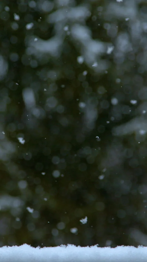 SLOW MOTION, TIME WARP: Cinematic shot of tiny flakes of snow covering the yard. Stock Footage 315385788