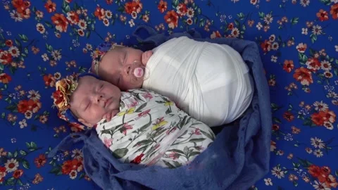 Slow Motion Tiny newborn baby twins sleeping curled up together  Stock Footage 153801800