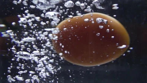 Slow motion of tomato dropping on glass bowl filled with water Stock Footage 262460165