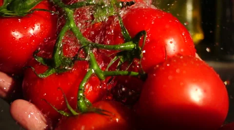 Slow Motion Tomatoes washed under the tap Stock Footage 68672941