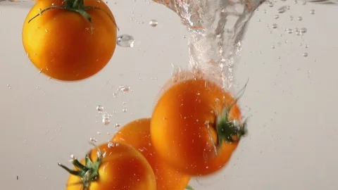Slow motion Tomatoes  with water splash and white background. 스톡 동영상 106006895