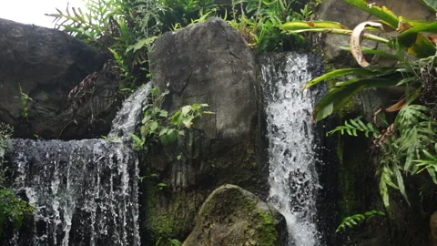 Slow motion from top to down Stock Footage 240265924