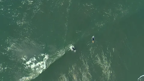 Slow-motion top-down view as surfer catches giant wave Stock Footage 112709472
