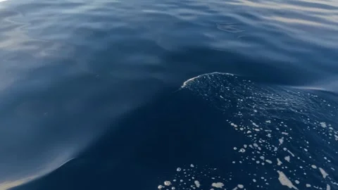 Slow motion top view of sea surface with sun rays from a boat. Stock Footage 289864042
