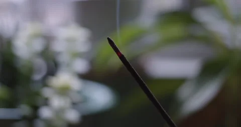 Slow-motion Track-left Close-up of burning incense stick Stock Footage 236588395
