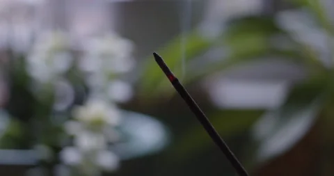 Slow-motion Track-right Close-up of burning incense stick Stock Footage 236588352