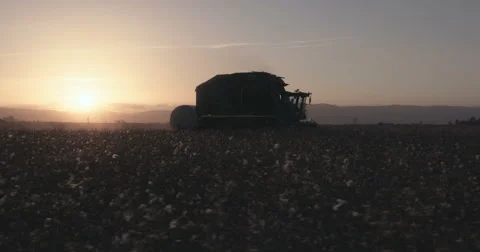 Slow motion tracking shot of a cotton picker harvesting in a cotton field Stock Footage 68551364
