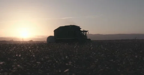 Slow motion tracking shot of a cotton picker harvesting during sunset Stock-Footage 68551377