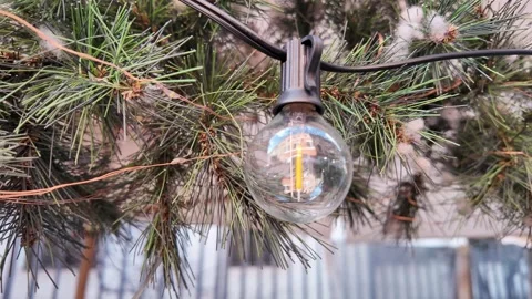 Slow Motion Tracking Shot Of Festive Glass Bulbs On Pine Tree 스톡 동영상 328842969