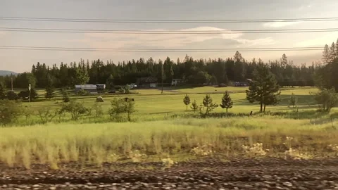 Slow-Motion Tracking Shot of Field and Trees Stock Footage 156973522