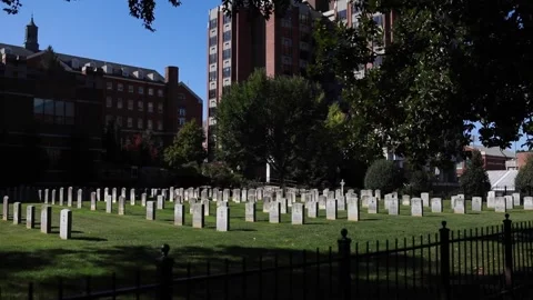 Slow Motion Tracking Shot of Grave Stones Stock Footage 140746391