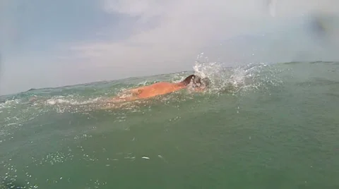 Slow motion tracking shot of man uses freestyle stroke. Video stock 27299485