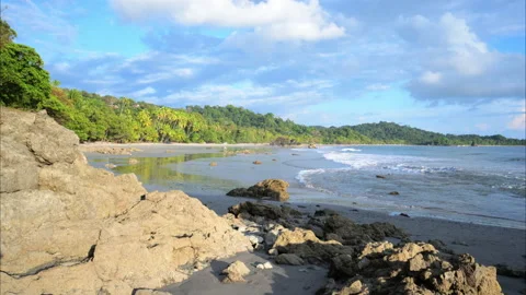Slow motion tracking shot of manuel antonio national park beach Stock Footage 235524375