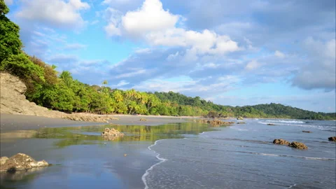 Slow motion tracking shot of manuel antonio national park beach Stock Footage 235524430