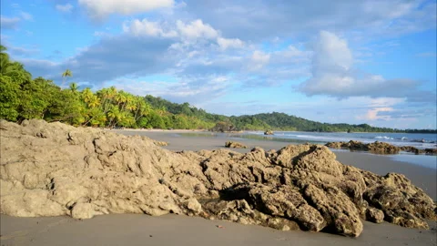 Slow motion tracking shot of manuel antonio national park beach Stock Footage 235525169
