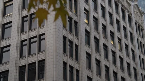 Slow motion tracking shot of an old building with fall color leaves moving 動画素材 121863996