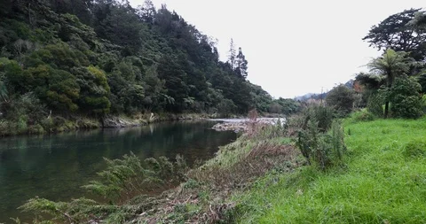 Slow motion tracking shot of river Stock Footage 90103310