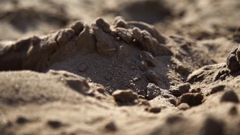 Slow motion tracking shot of sand in the desert. Close up. Shadow and light. Stock Footage 123712612