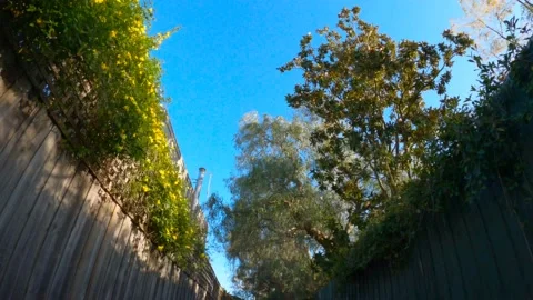 Slow motion tracking shot, upward view, afternoon spring blue sky 2020, 4K Stock Footage 139021822