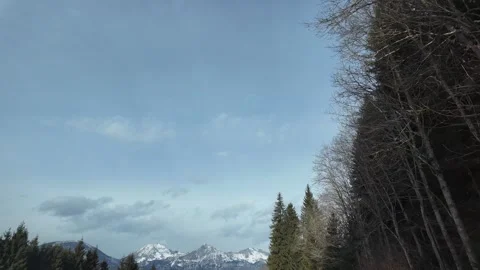Slow Motion Tracking Shot Of Winter Alpine Forest And Peaks Moving Past Car Vídeos de archivo 328695065