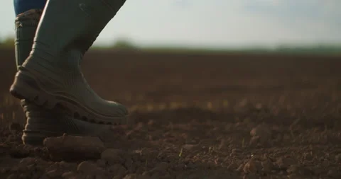 Slow motion tractor drivers boots walk across a plowed field at sunset after a Stock Footage 131925081