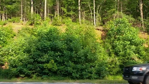 Slow motion of traffic on the mountain roads of Helen Georgia truck and campe Stock Footage 149261952
