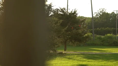 Slow Motion of a Train Passing Through a Rural Landscape 스톡 동영상 91499217