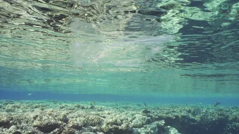 Slow motion, Transparent plastic bag floating underwater near coastal zone Stock Footage 243445686