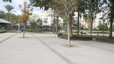 Slow motion of a tree in autumn Stock Footage 86618428