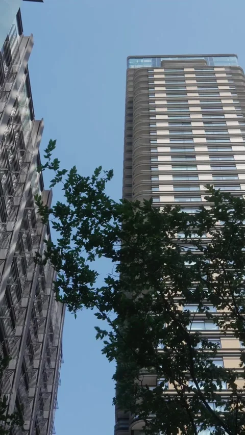 Slow Motion Tree Branches with Skyscrapers – Vertical Cinematic Clip Stock Footage 308934971