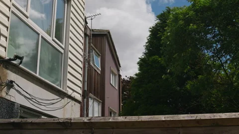 Slow Motion Tree Movement in London Suburban Street Stock-Footage 337563360