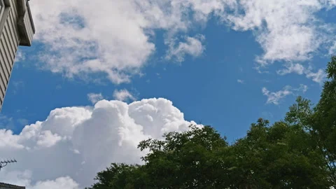 Slow Motion Tree Moving Against Blue Sky and Clouds in London Stock-Footage 337551095