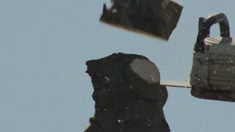 Slow motion of a Tree Surgeon Cutting Off a Branch with a Chain Saw Vídeos de archivo 137462396