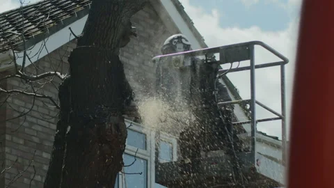 Slow motion of a Tree Surgeon Cutting Into the Trunk of a Tree with a Chain Saw 스톡 동영상 137463328