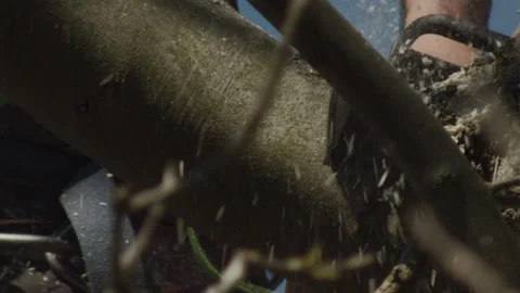 Slow motion of a Tree Surgeon Using a Chain Saw to Cut a Large Tree Branch Vídeos de archivo 137460405