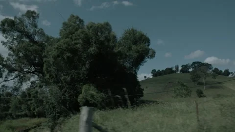 Slow Motion Trees and Grass Moving in Sunshine Coast Hinterland Landscape, Queen Stock Footage 341297843