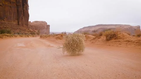 Slow Motion Tumbleweed Rolling through the Dusty Desert in Arizona Video stock 289803027