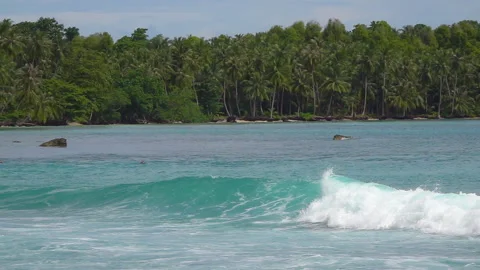 SLOW MOTION: Turquoise wave peels in front of a shore overgrown with palm trees Stock Footage 333215679