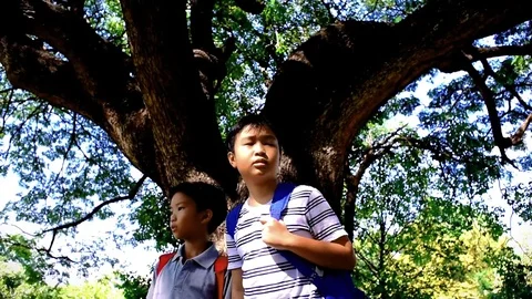 Slow motion two boy walk in the forest park Stock Footage 83062391