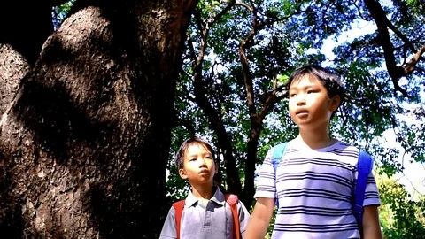 Slow motion two boy walk in the forest Stock Footage 83062406