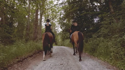 Slow Motion of Two Equestrians Mounted in Horses in the Middle of the Forest Stock Footage 158856858