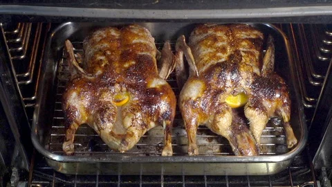 Slow motion - Two roasted ducks being checked as they cook in the oven. Video stock 100513908