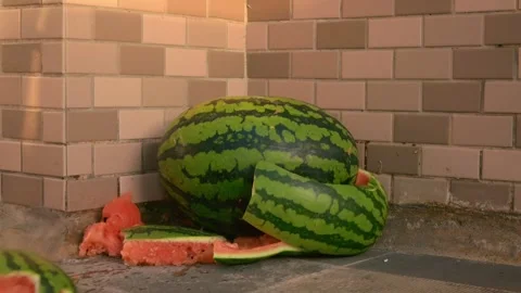 Slow-motion of two watermelons smash together Stock Footage 325638684