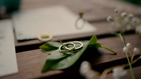 Slow motion of two wedding rings that lie on green leaves on a wooden table . Video stock 224302146