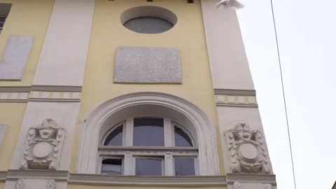 Slow Motion Two White Pigeons Taking Off from Sofia Building Video stock 340043973